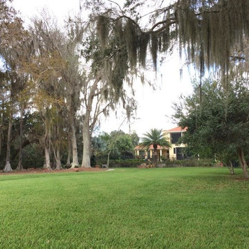 Orlando Landscaping Maintenance by Prestige