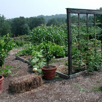 Ornamental vegetable gardening