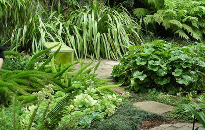 8 Sumptuous Shade Garden Plant Combinations