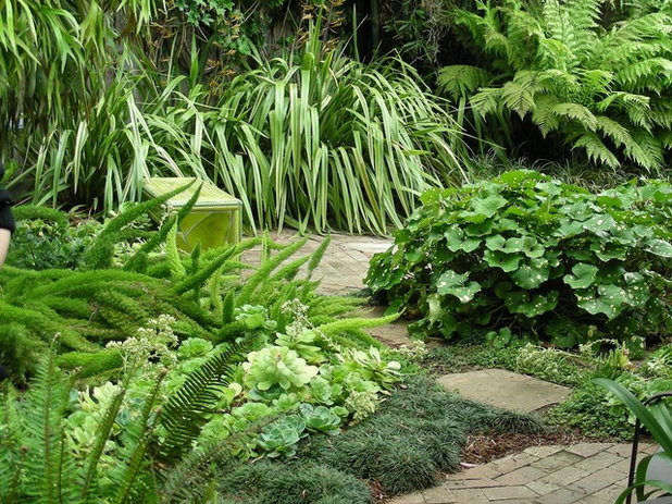 Eclectic Landscape by Billy Goodnick Garden Design