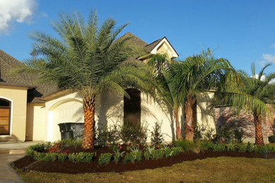 Photo of a mid-sized transitional full sun front yard mulch landscaping in New Orleans.