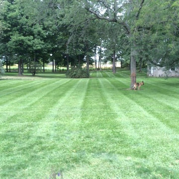Our Lawn Maintenance