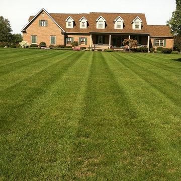 Our Lawns