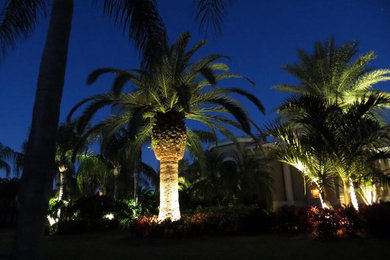 タンパにある広い地中海スタイルのおしゃれな中庭 (日向、マルチング舗装) の写真