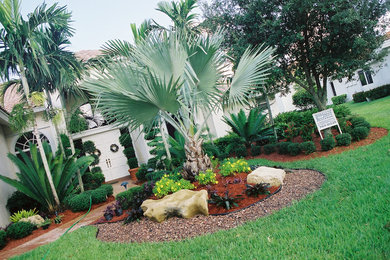 Design ideas for a tropical landscaping in Miami.