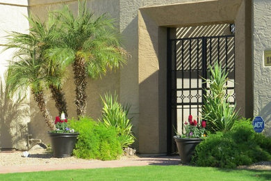 Design ideas for a large full sun landscaping in Phoenix.