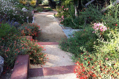 Photo of a mid-sized transitional backyard landscaping in San Francisco.