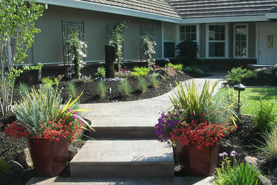Design ideas for a garden in Sacramento.