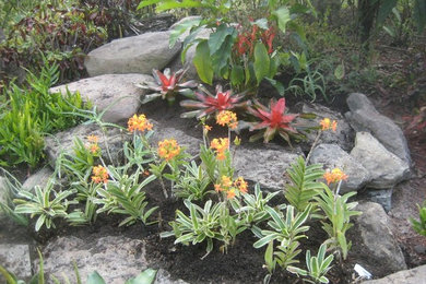 Diseño de jardín de tamaño medio en patio trasero con adoquines de piedra natural