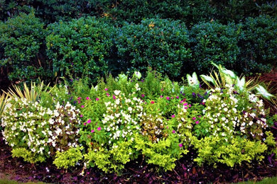 Inspiration for a mid-sized traditional backyard mulch formal garden in Atlanta.