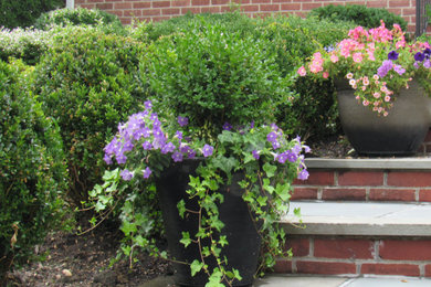 На фото: маленький солнечный, весенний участок и сад на переднем дворе в классическом стиле с садовой дорожкой или калиткой, хорошей освещенностью и покрытием из каменной брусчатки для на участке и в саду