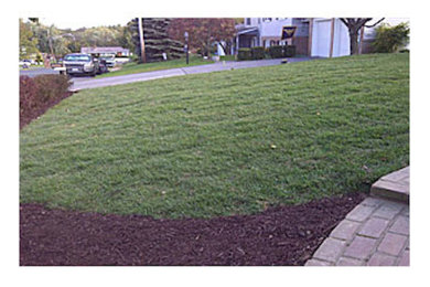 ワシントンD.C.にある中くらいなおしゃれな前庭 (日向、マルチング舗装) の写真
