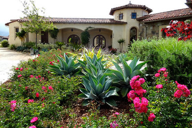 Large mediterranean front driveway full sun garden for summer in Santa Barbara with a garden path.