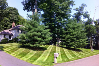 Photo of a landscaping in Bridgeport.