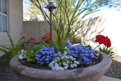 Photo of a traditional garden in Phoenix.