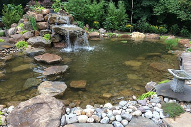 Foto de jardín tradicional extra grande en patio trasero con estanque, exposición parcial al sol y adoquines de piedra natural