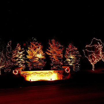 Outdoor Christmas Tree Lighting