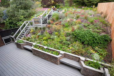 サンフランシスコにあるトラディショナルスタイルのおしゃれな庭 (デッキ材舗装) の写真