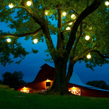 Outdoor Lighting at Arrington Vineyards in Arrington, TN
