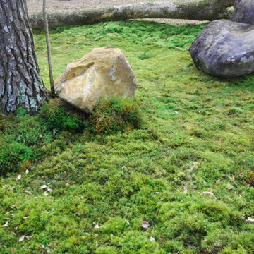 Outdoor Living -- Moss Landscaping