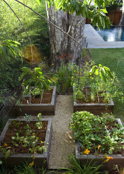Contemporain Jardin by Shades Of Green Landscape Architecture