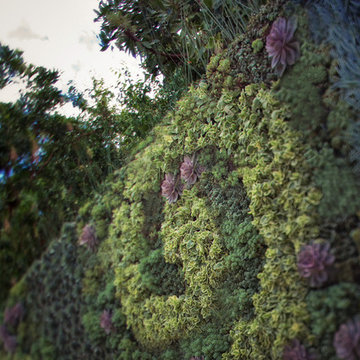 Outdoor Living Wall