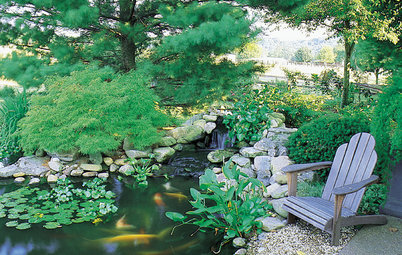 Koi Find Friendly Shores in Any Garden Style