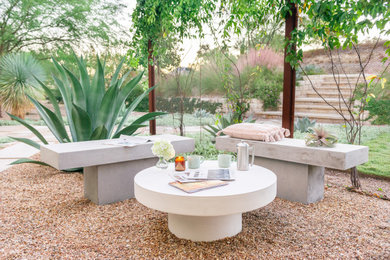 Inspiration for a small contemporary drought-tolerant, privacy and full sun courtyard gravel landscaping in Austin.