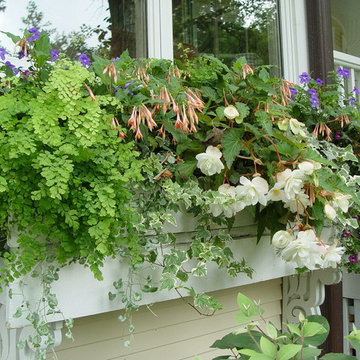 Outdoor Planter Garden Window Box Ideas, Evanston, Illinois