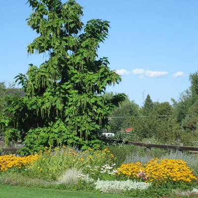 This is an example of a traditional backyard landscaping in Denver.