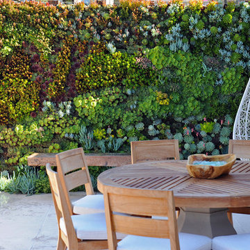 Outdoor Spaces