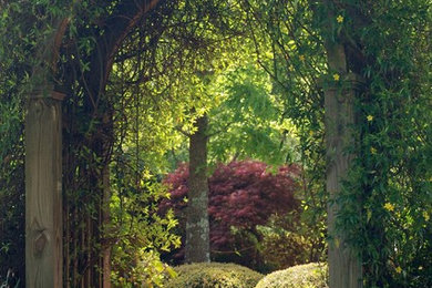 Esempio di un giardino classico dietro casa con pacciame e un ingresso o sentiero