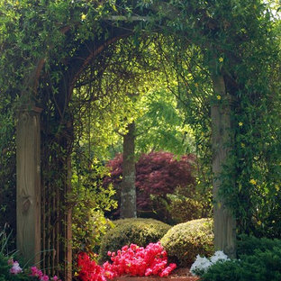 Backyard Japanese Garden | Houzz