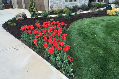 Inspiration for a large traditional full sun front yard mulch retaining wall landscape in Kansas City for spring.