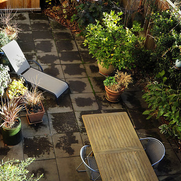 Overlooking the Patio