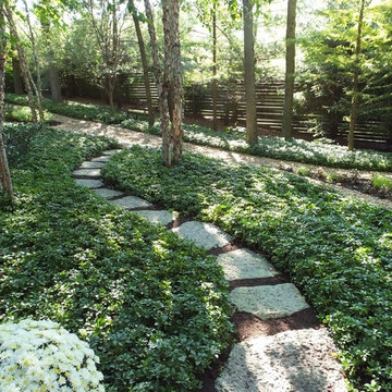 Pachysandra stepping stone pathway in shade garden