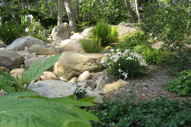 Photo of a rustic landscaping in Santa Barbara.
