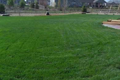 Photo of a large traditional full sun front yard landscaping in Denver.