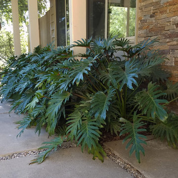 Palisades Courtyard