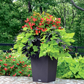 Palm Beach Container Gardens