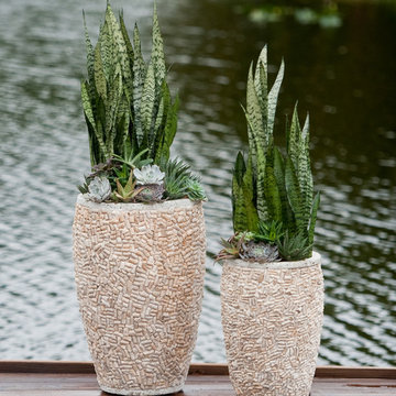 Palm Beach Container Gardens