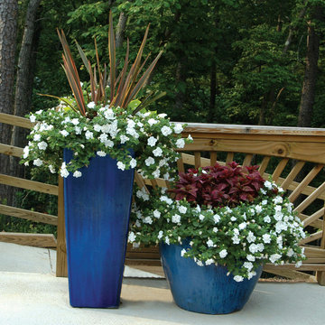 Palm Beach Container Gardens