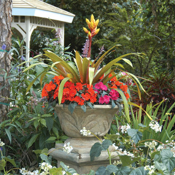 Palm Beach Container Gardens