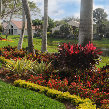 Palm Beach Landscape Color