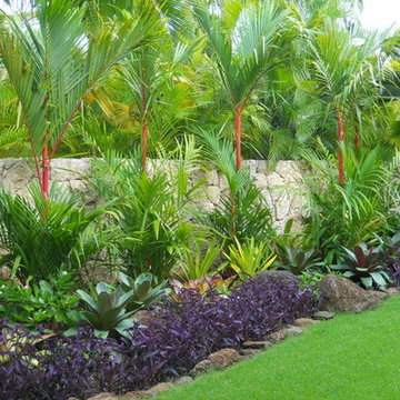 Palm Beach Tropical Garden