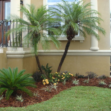 Palm Garden Depot