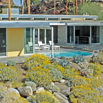 Palm Springs Modern Rear Landscape