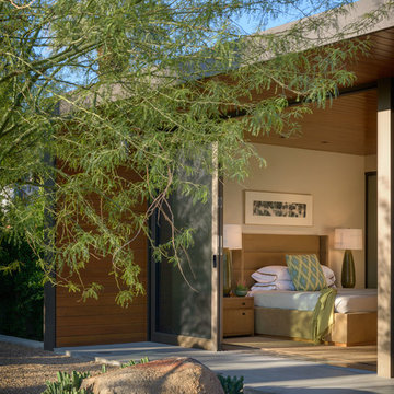 Palm Springs Oasis