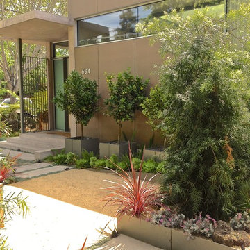 Palo Alto warm tropical modern landscape