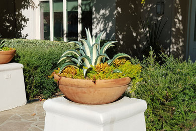 Design ideas for a huge mediterranean full sun gravel landscaping in Los Angeles.